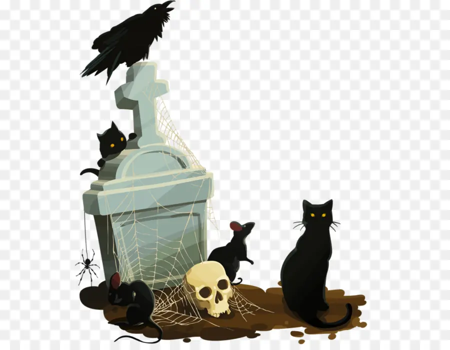 Gato，Calavera PNG