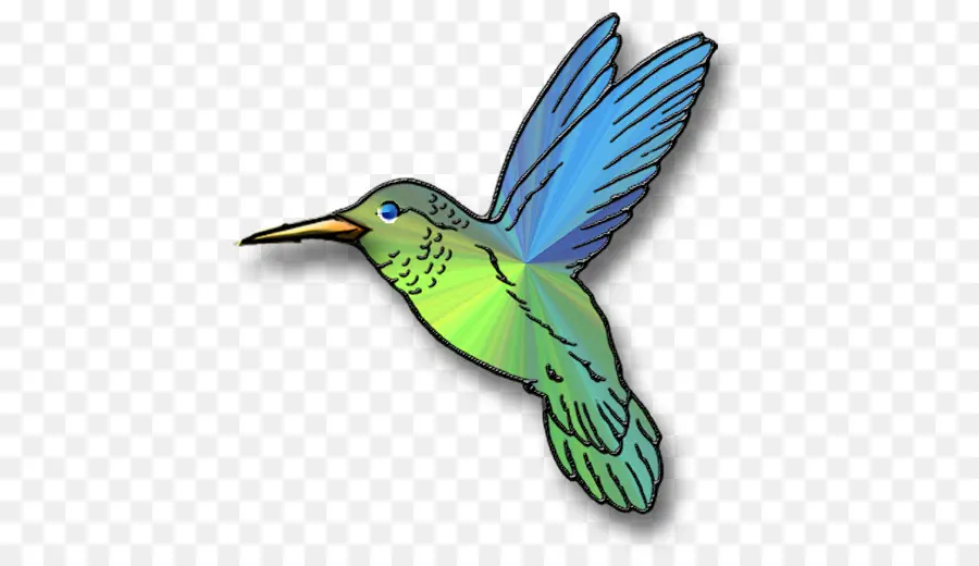 Colibrí，Naturaleza PNG