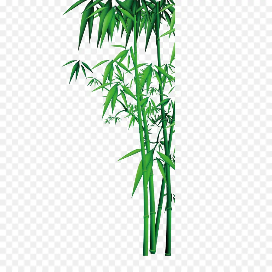 Bambú，Descargar PNG