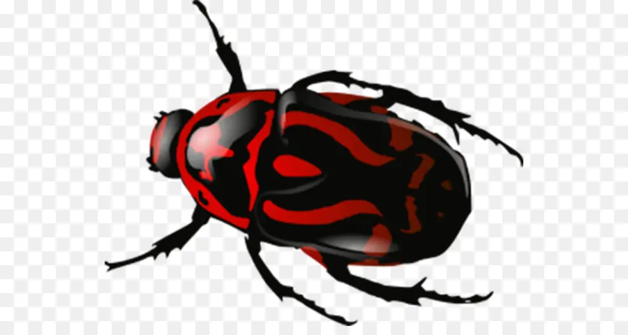 Escarabajo，Rojo PNG