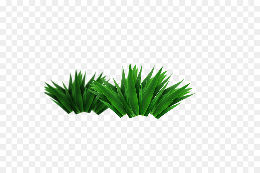 Verde，Recurso PNG