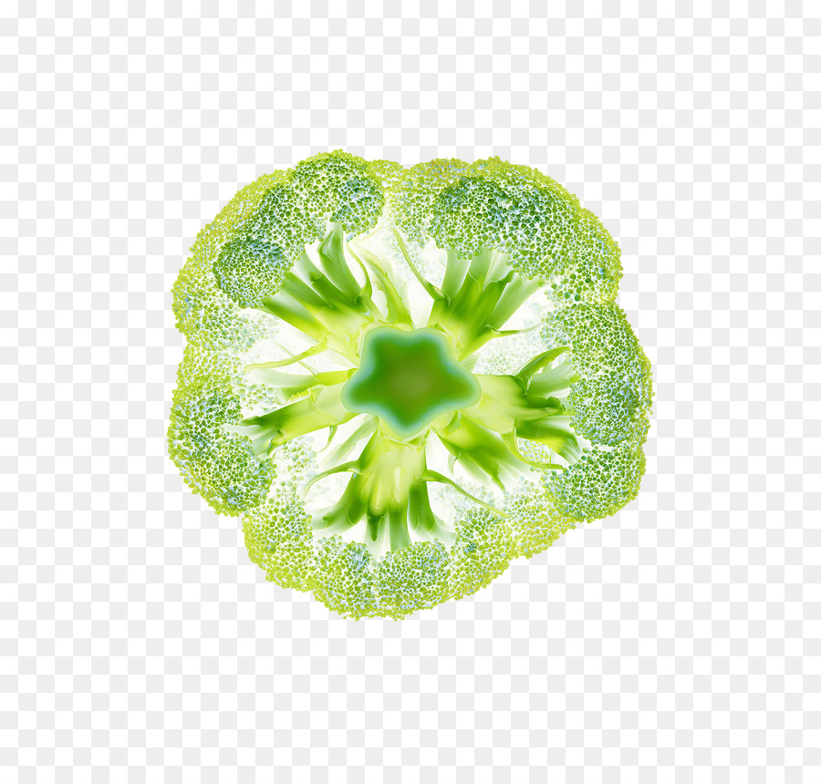 Biotherm，Brócoli PNG