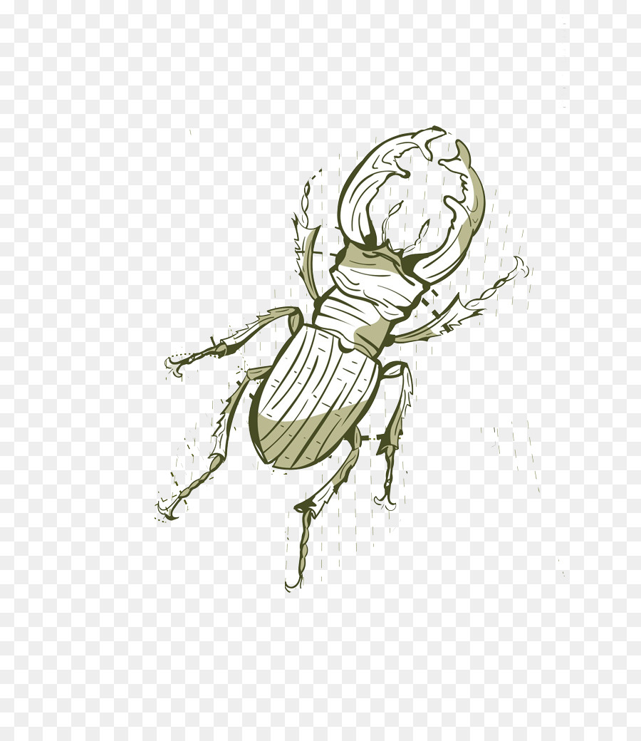 Cucaracha，Los Insectos PNG