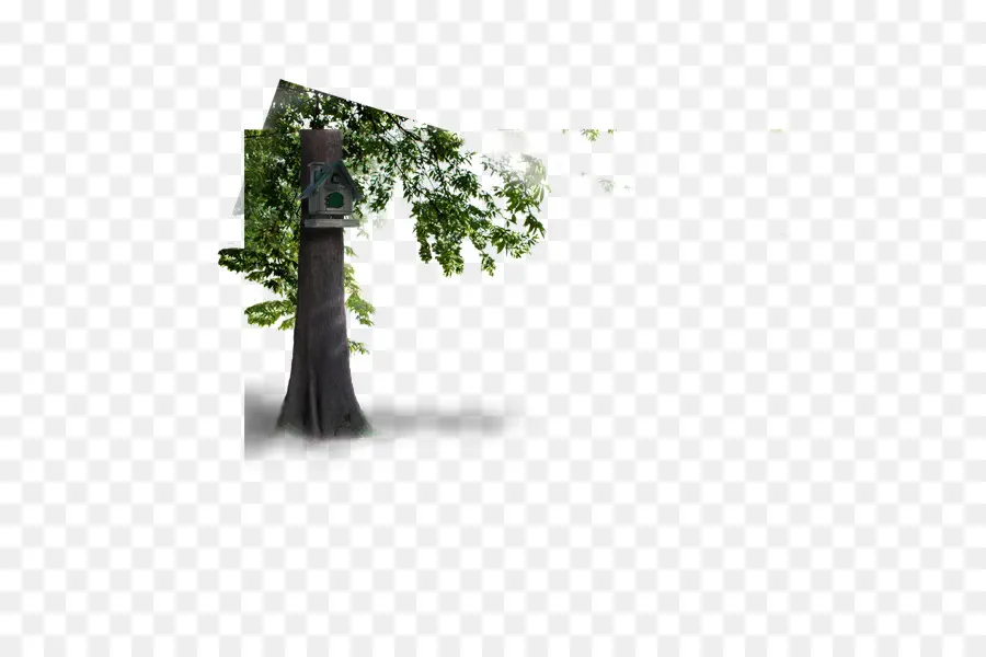 Casita Para Pájaros En El árbol，árbol PNG