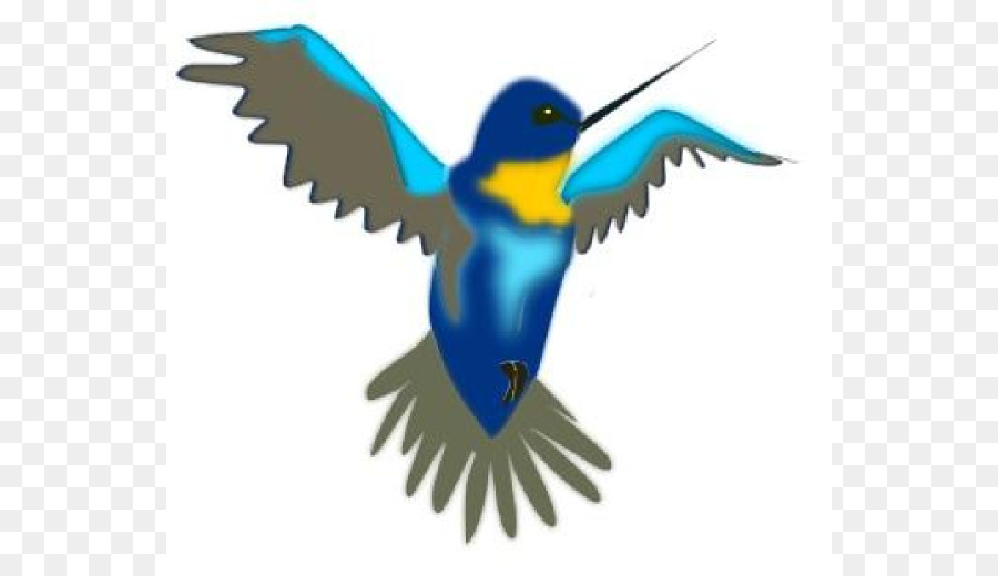 Colibrí，Dibujo PNG