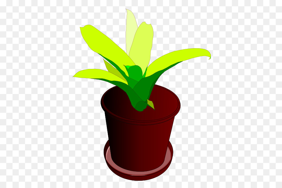 Planta En Maceta，Planta PNG