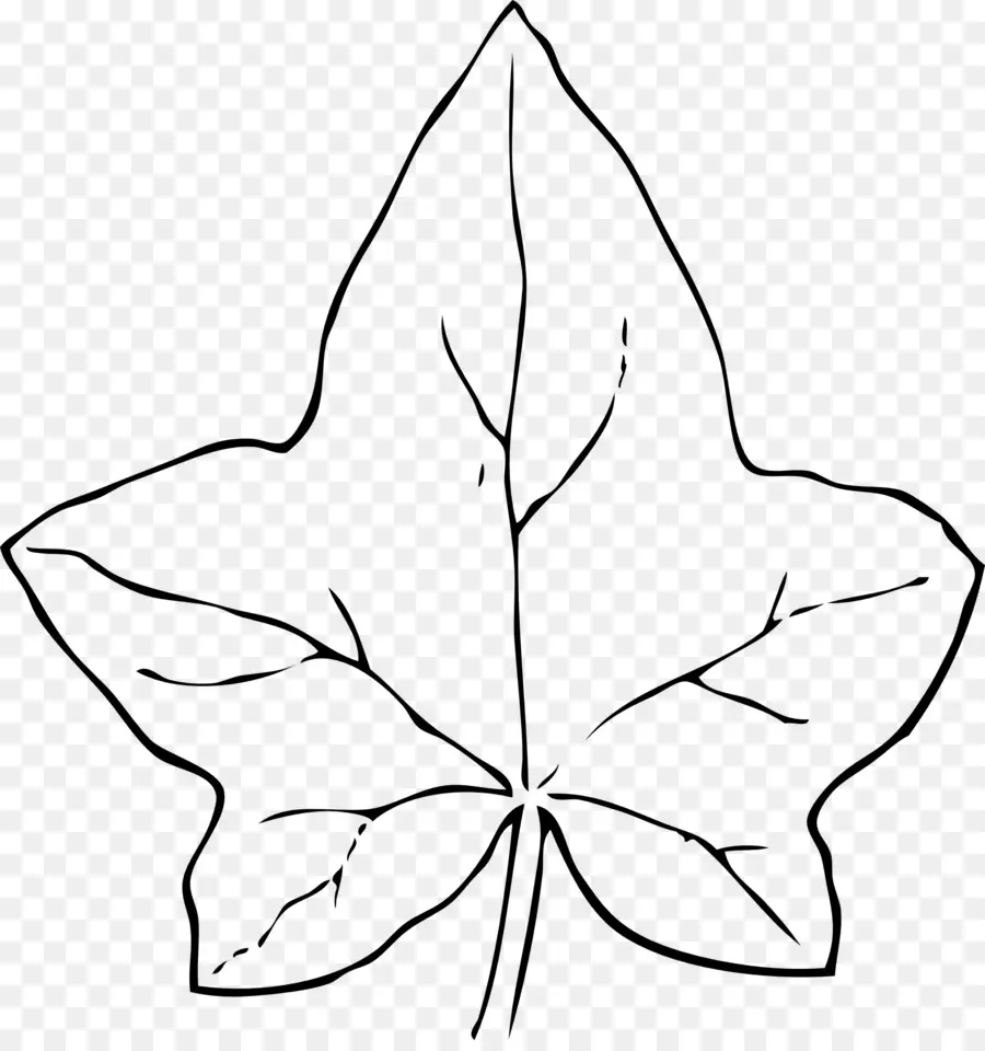 Hoja，Planta PNG