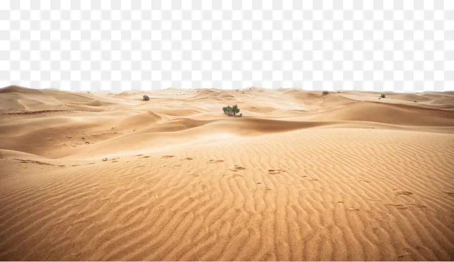 Sahara，Erg PNG