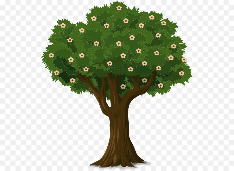 árbol，Flor PNG