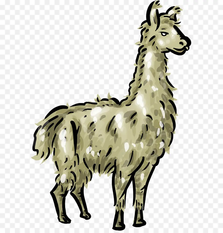 Llama，Arte De Línea PNG