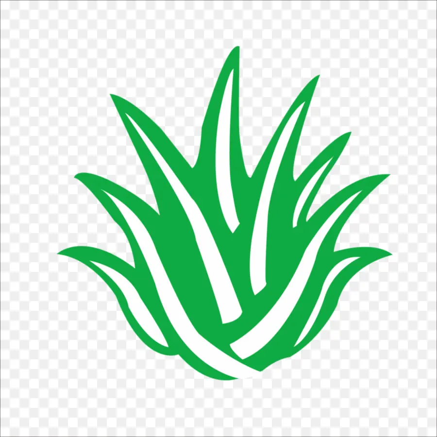 Aloe Vera，Logotipo PNG