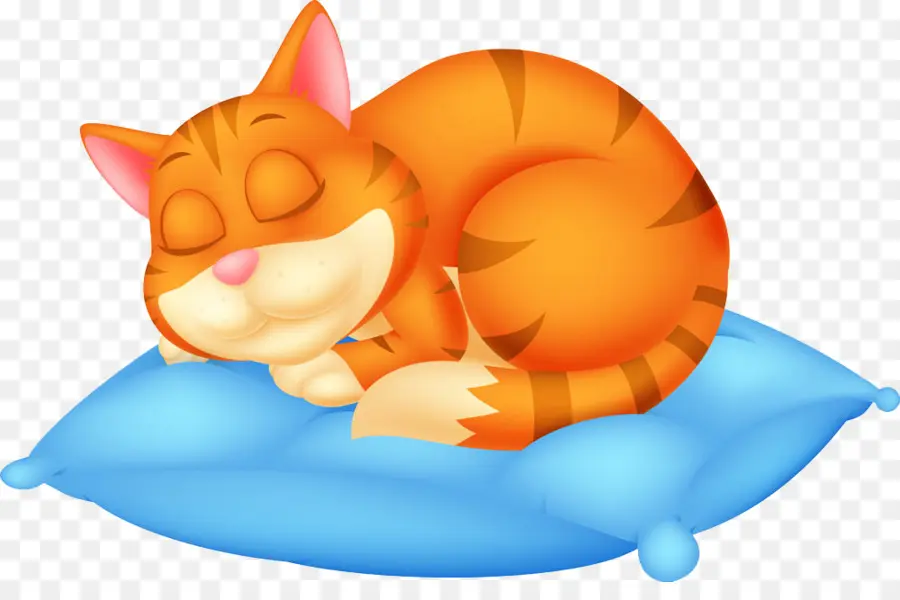 Gato，Gatito PNG