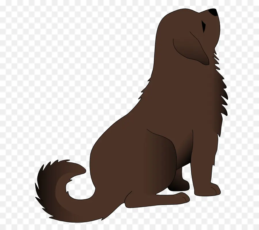 Perro，Gato PNG