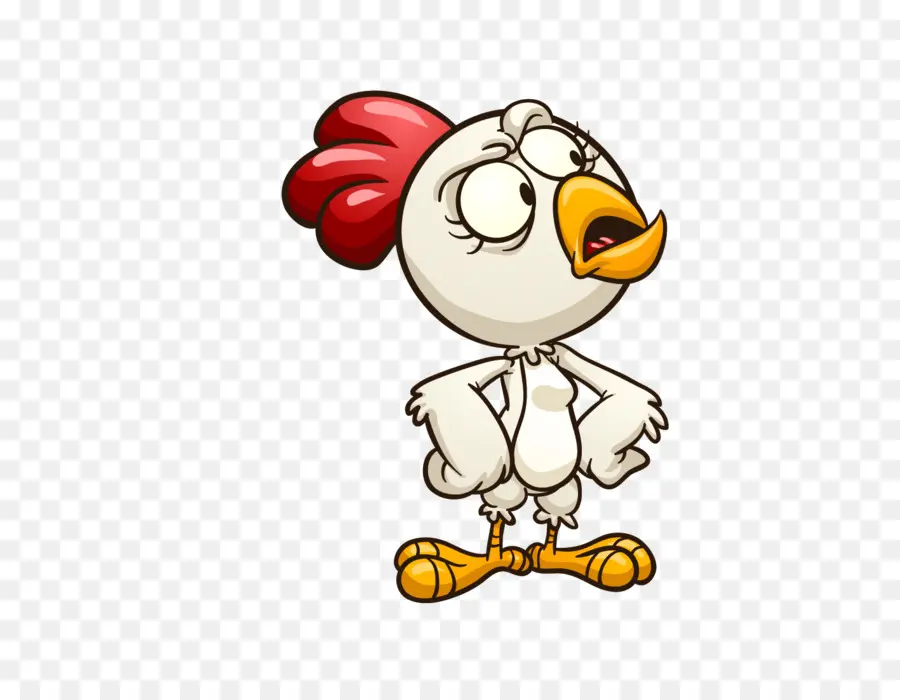 Pollo，Gallina PNG