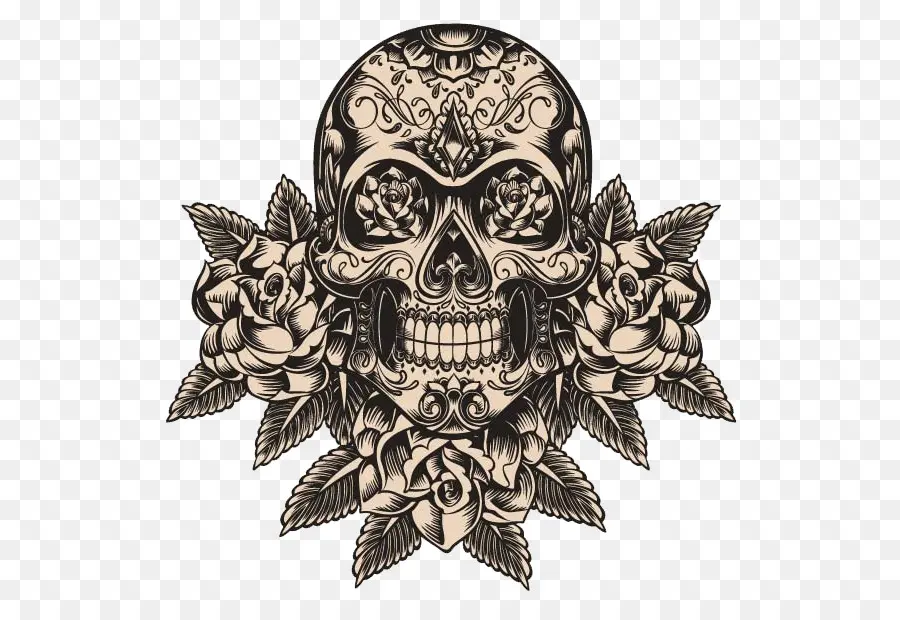 Calavera，Cráneo PNG