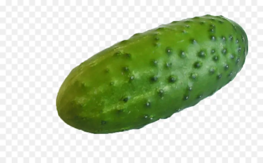 Pepino，Pepino Encurtido PNG