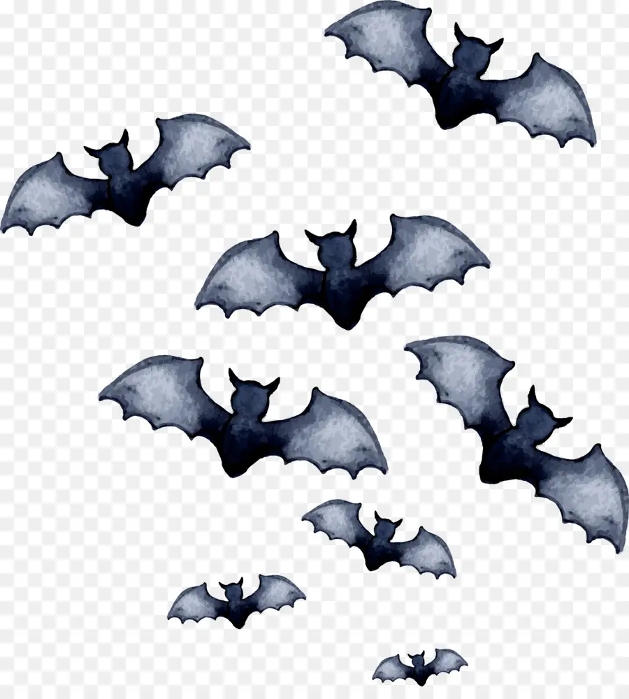 Bat，Camiseta PNG