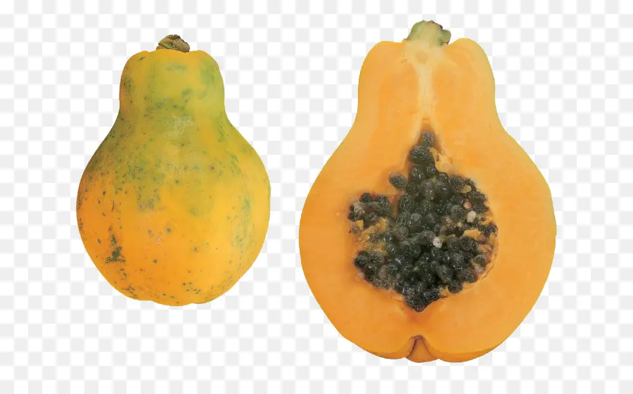 La Papaya，Calabaza PNG