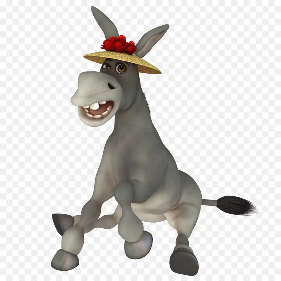 Burro Con Sombrero，Burro PNG