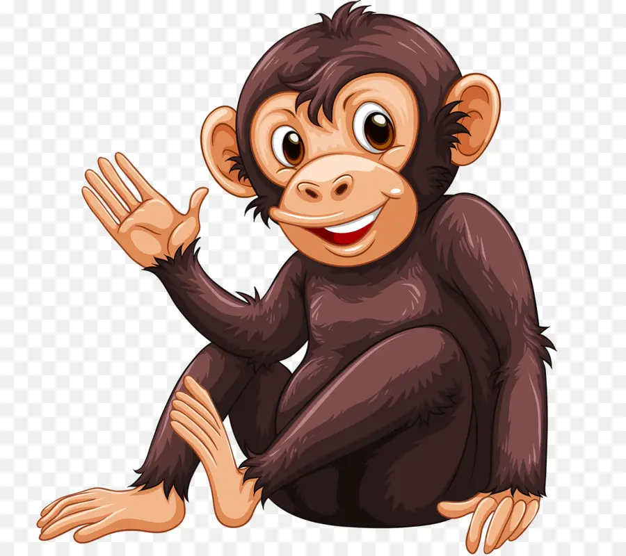 Chimpancé，Mono PNG