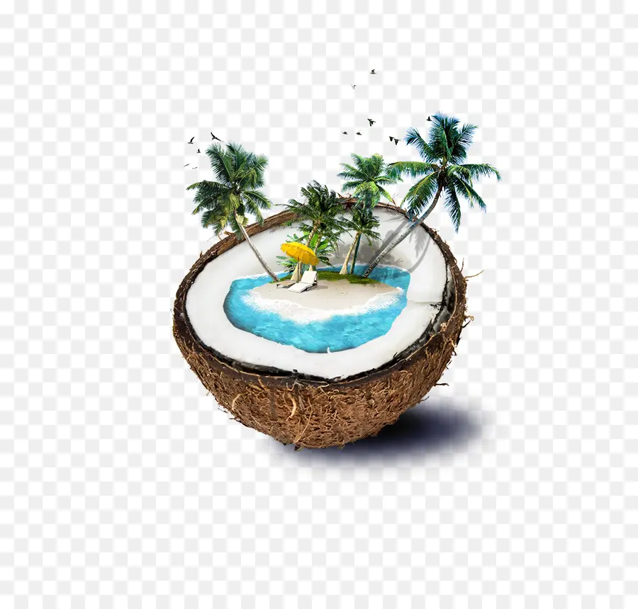 Fiji，Agua De Coco PNG