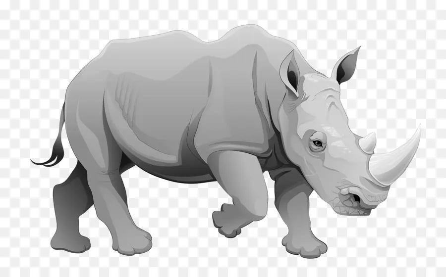 El Rinoceronte，De Dibujos Animados PNG