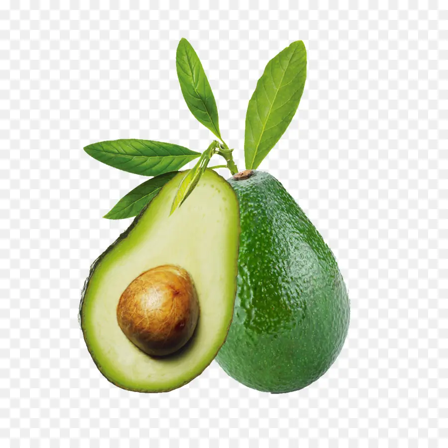 Aguacate，Extracto De PNG