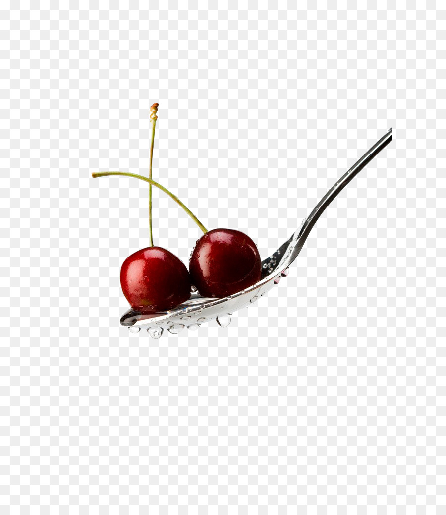 Cherry，Prunus Tomentosa PNG