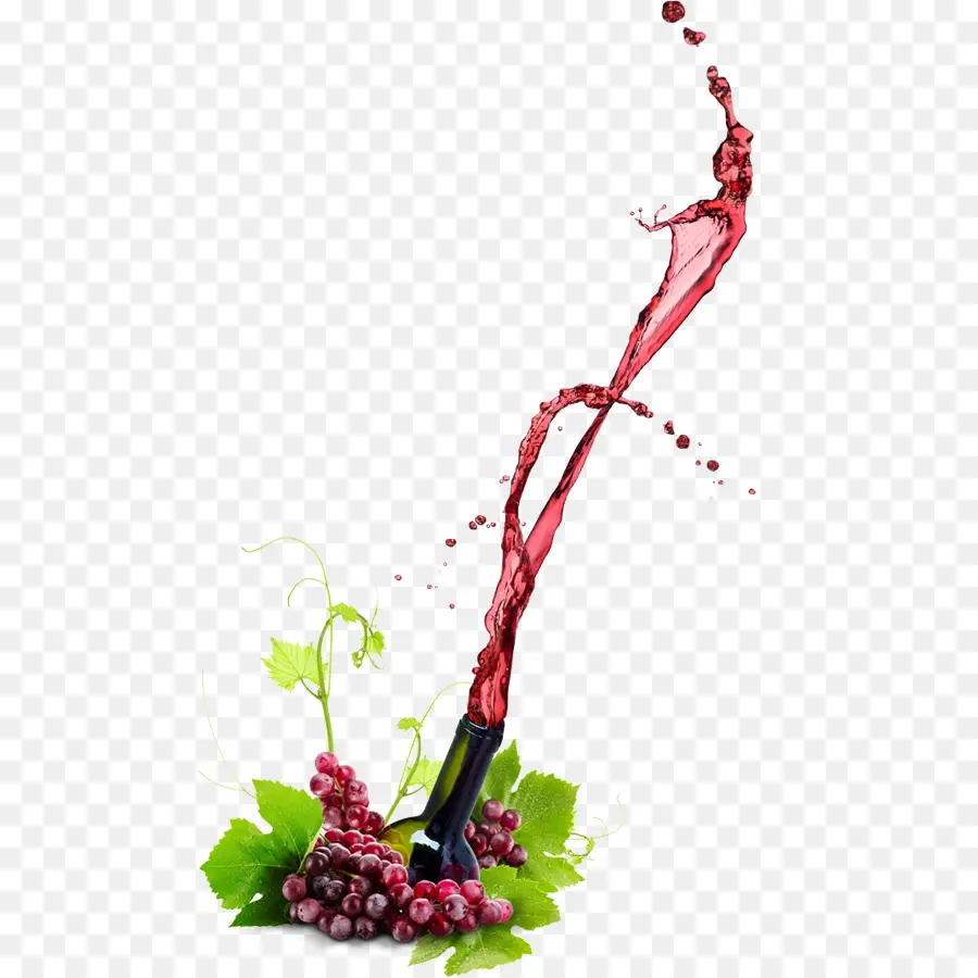 Salpicaduras De Vino，Chapoteo PNG