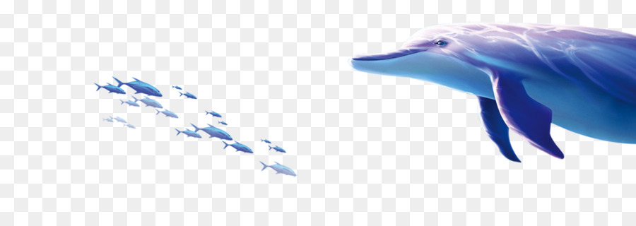 Dolphin，Descargar PNG