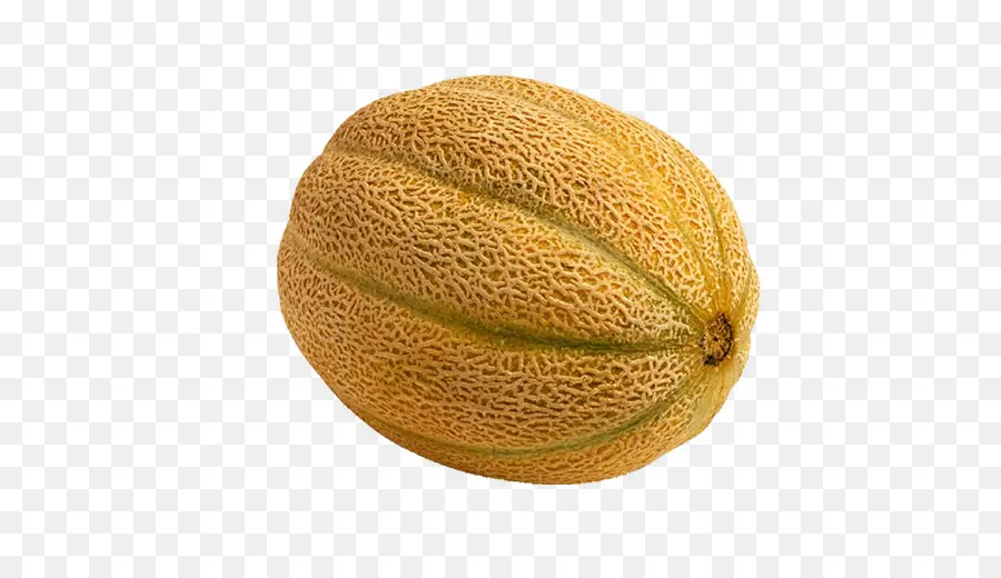 Melón，Melón Galia PNG