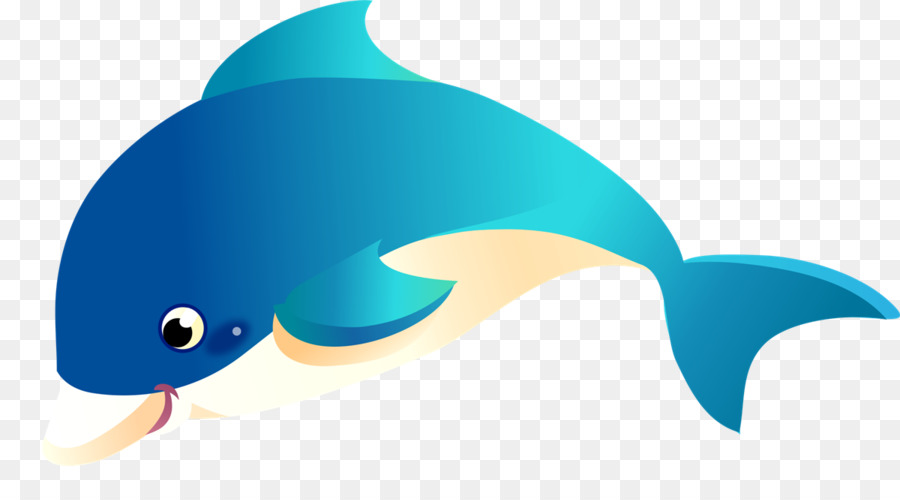 Dolphin，Spinner Dolphin PNG