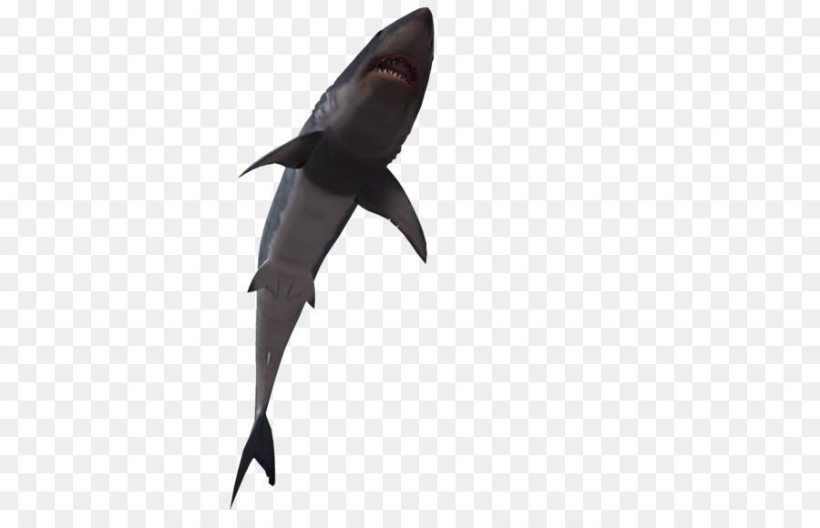 Tiburón，Los Peces PNG