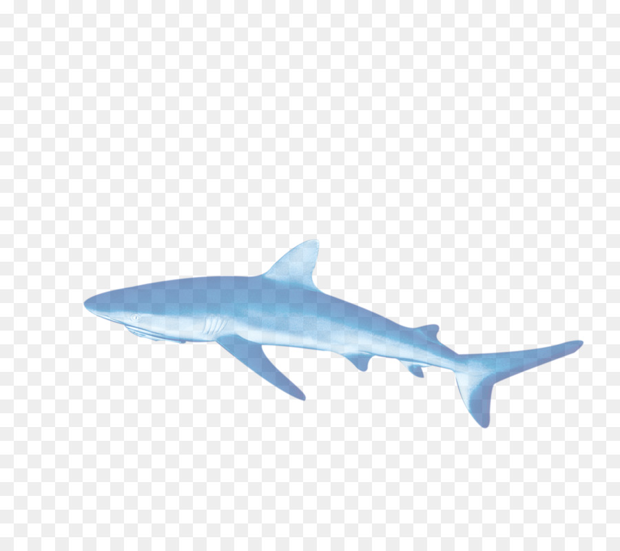 Tiburón Azul，Océano PNG