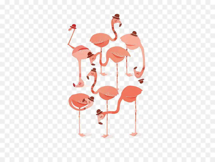 Grupo De Flamencos，Sombreros PNG