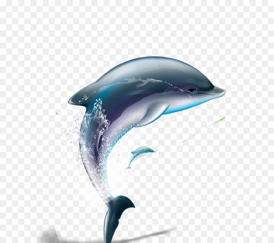 Dolphin，Postscript Encapsulado PNG