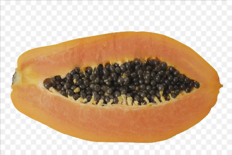 Papaya，Tropical PNG