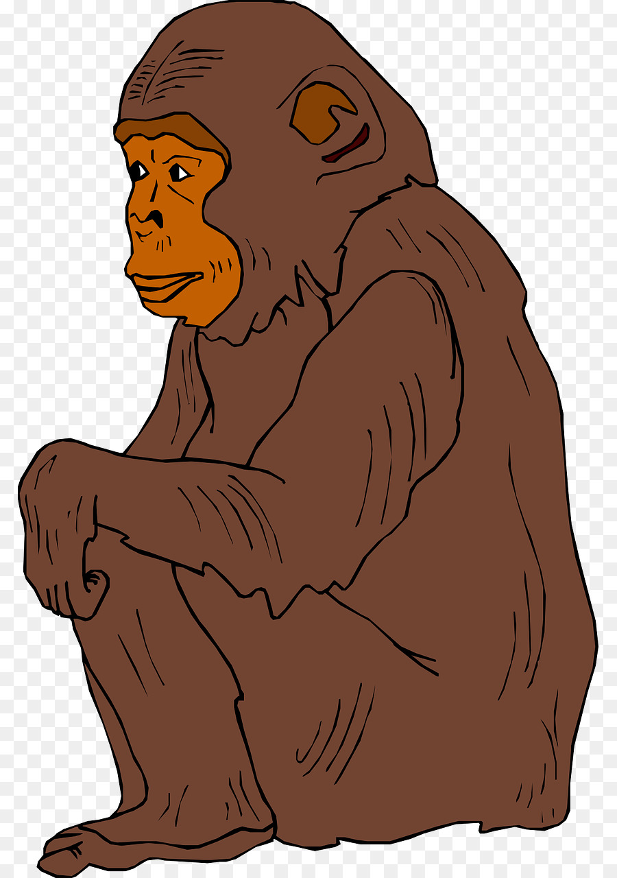 Orangután，Primate PNG