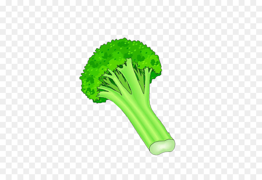 Brócoli，Vegetal PNG