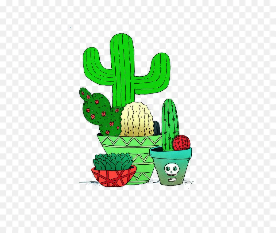 Cactus，Montones PNG