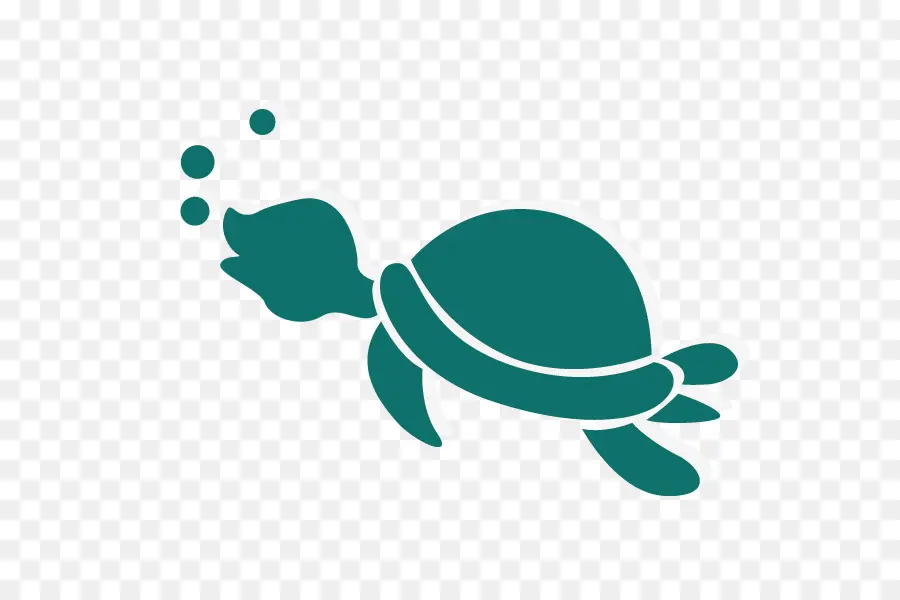 Tortuga，Tortuga De Mar PNG