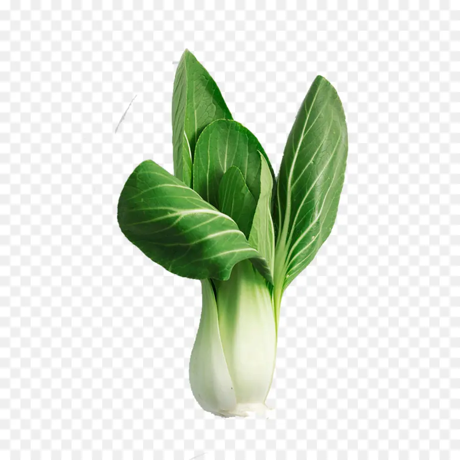 Bok Choi，Frondoso PNG