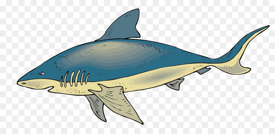 Tiburón，Los Peces PNG