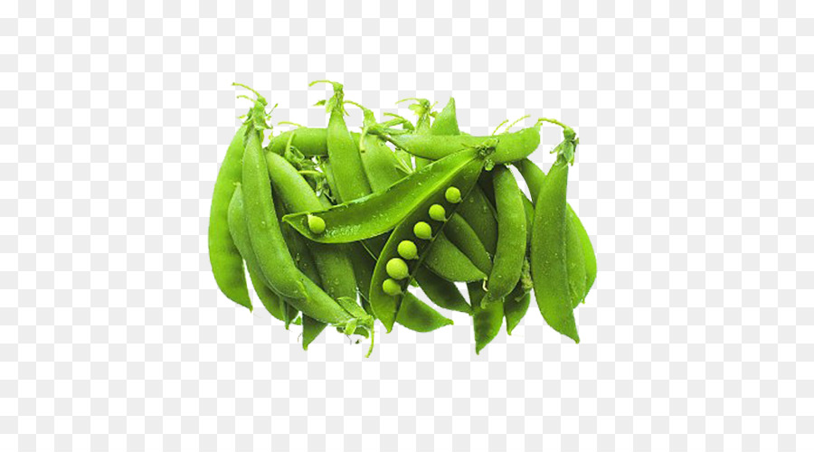 Snow Pea，Vegetal PNG