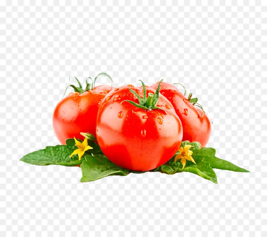 El Jugo De Tomate，Tomate PNG