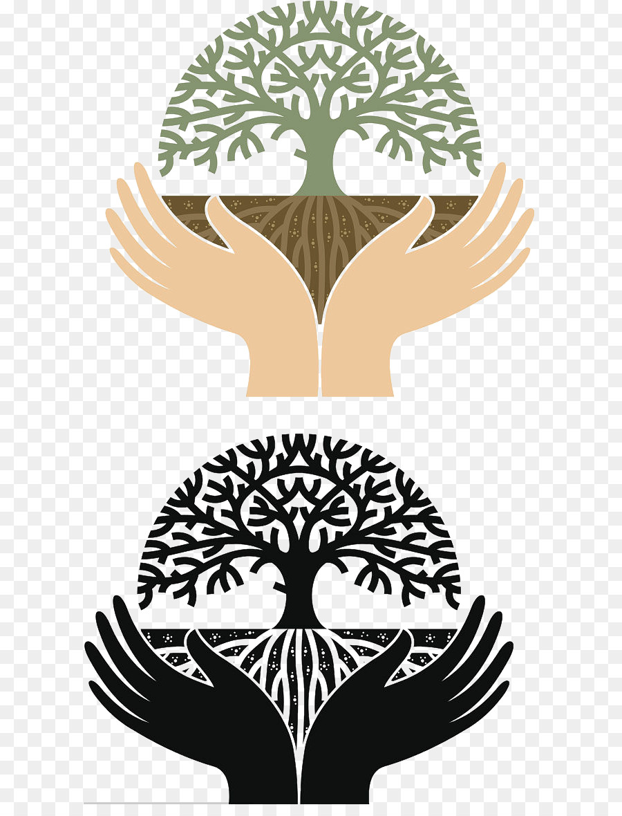 De La Mano，árbol PNG