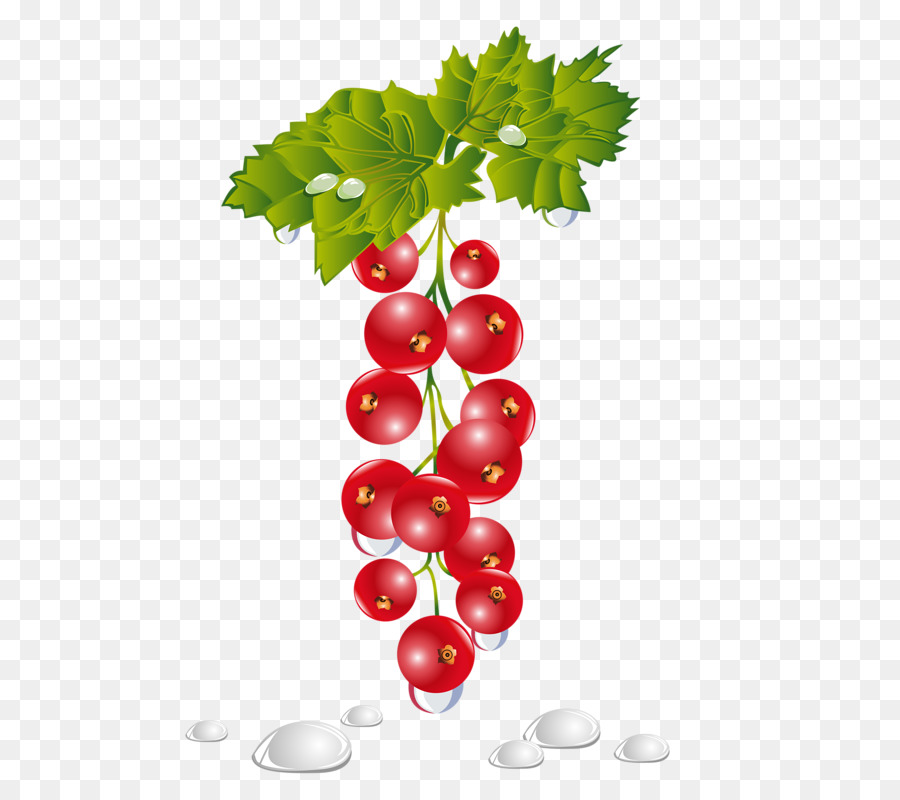 Frutos Rojos，Fruta PNG