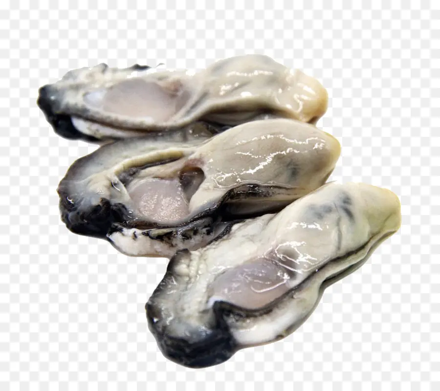 Ostras，Mariscos PNG