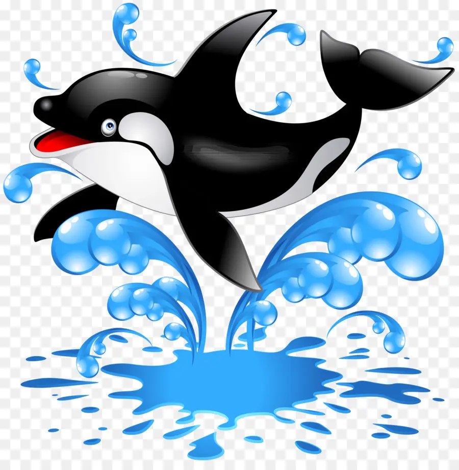 Orca Saltadora，Orca PNG