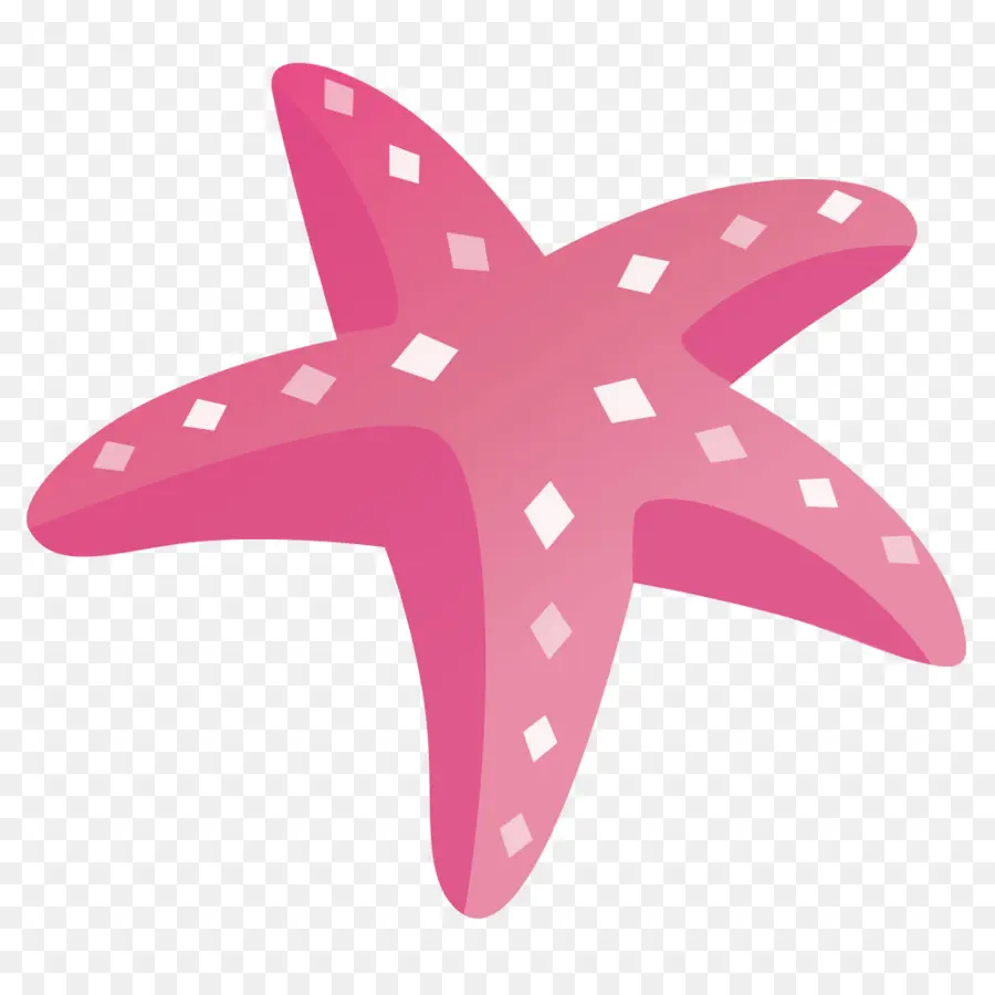 Estrella De Mar，Dibujo PNG